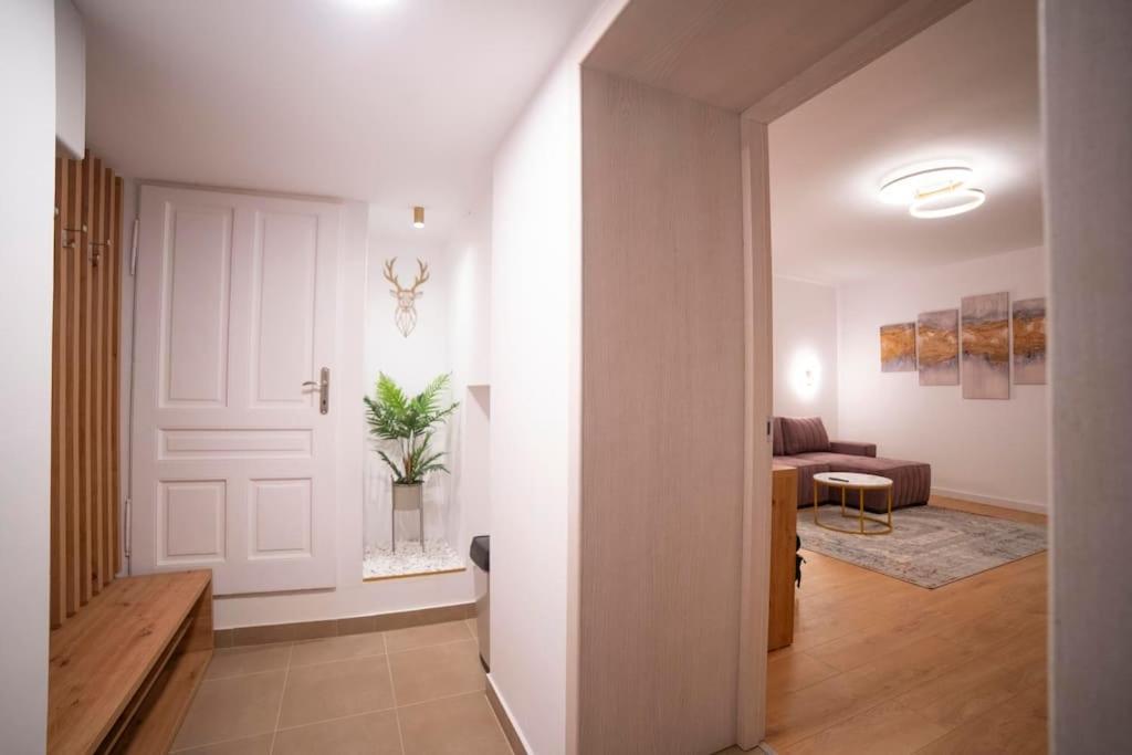בראשוב Coban Residence - A3 - Scandinavian Apartment מראה חיצוני תמונה